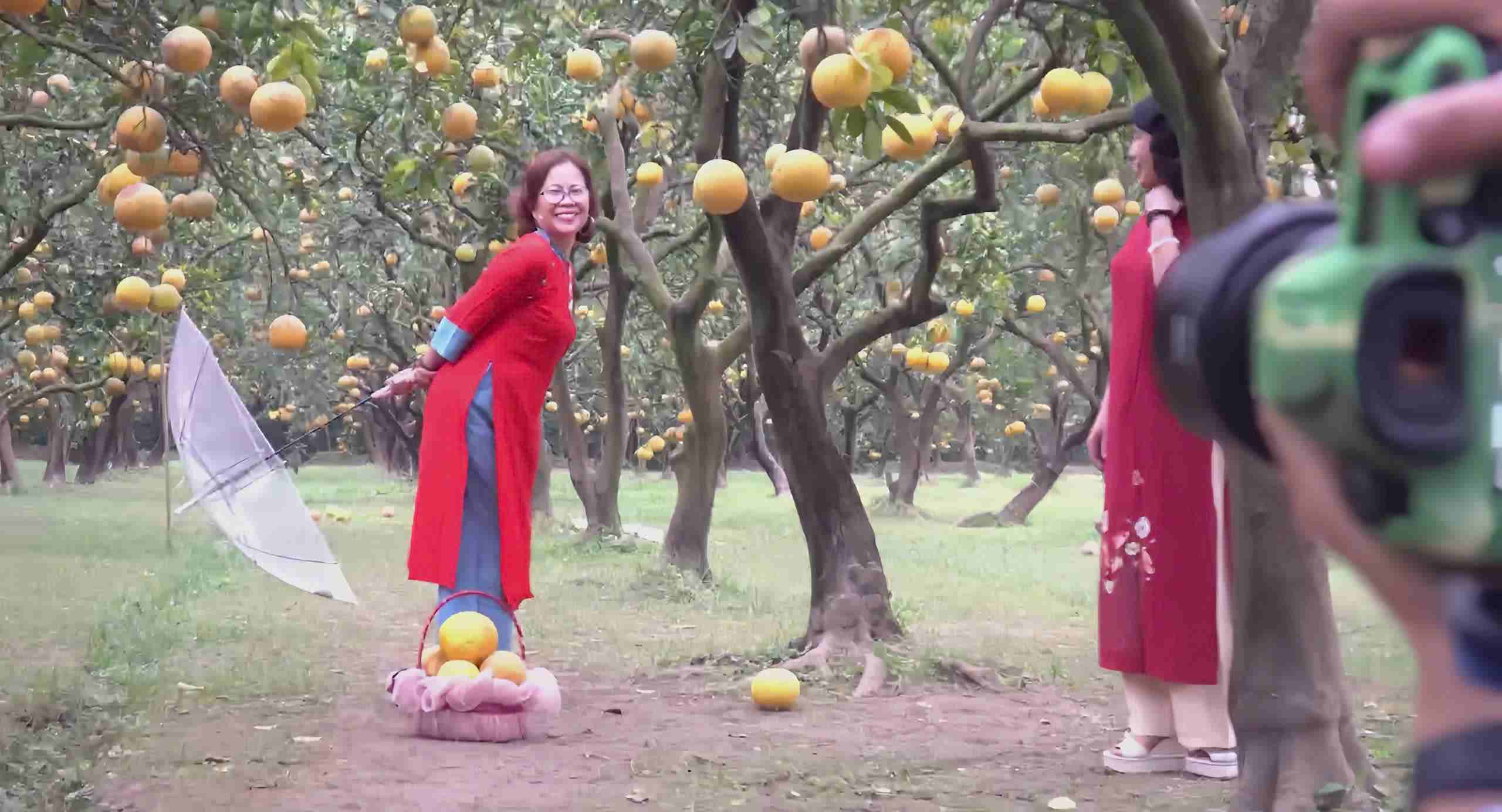 Tourists flock to check in at the golden Dien grapefruit garden near Tet. Photo: Khanh Ly