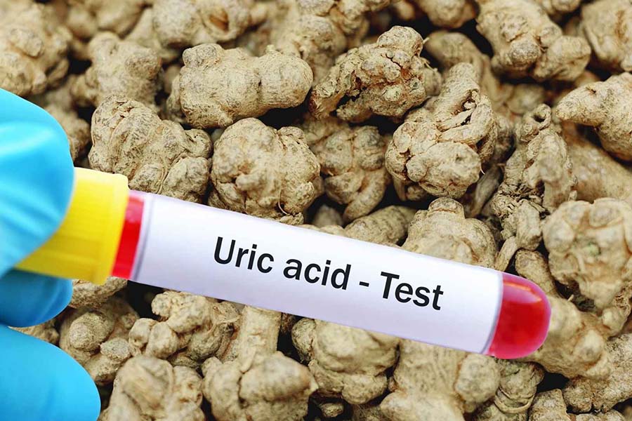 Root that can effectively lower uric acid
