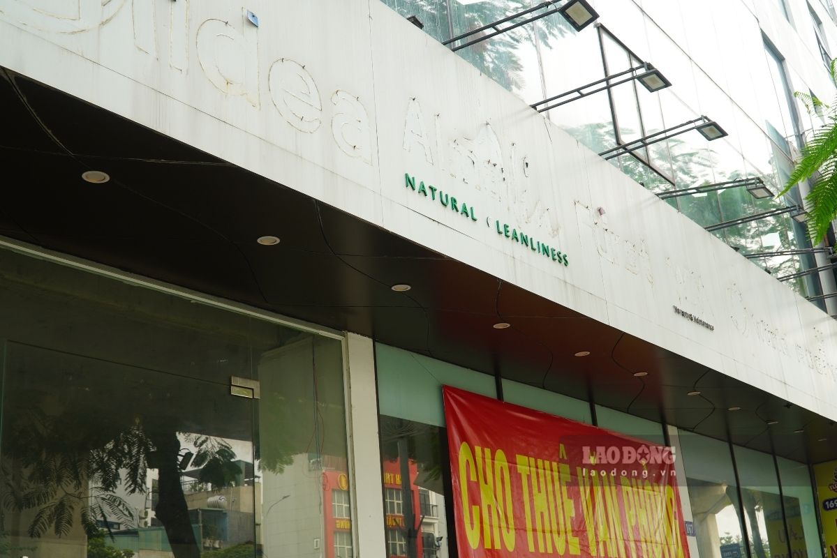 Dòng chữ thương hiệu mờ dần,