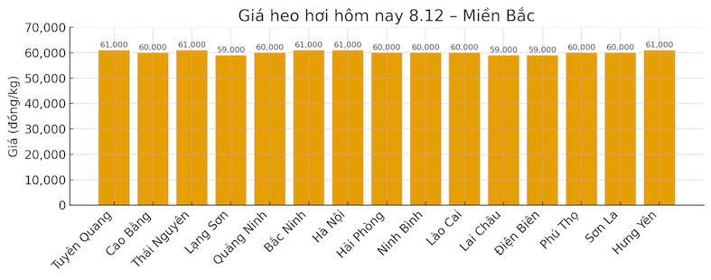 Giá heo hơi miền Bắc hôm nay 8.12. Đồ họa: Thùy Linh.