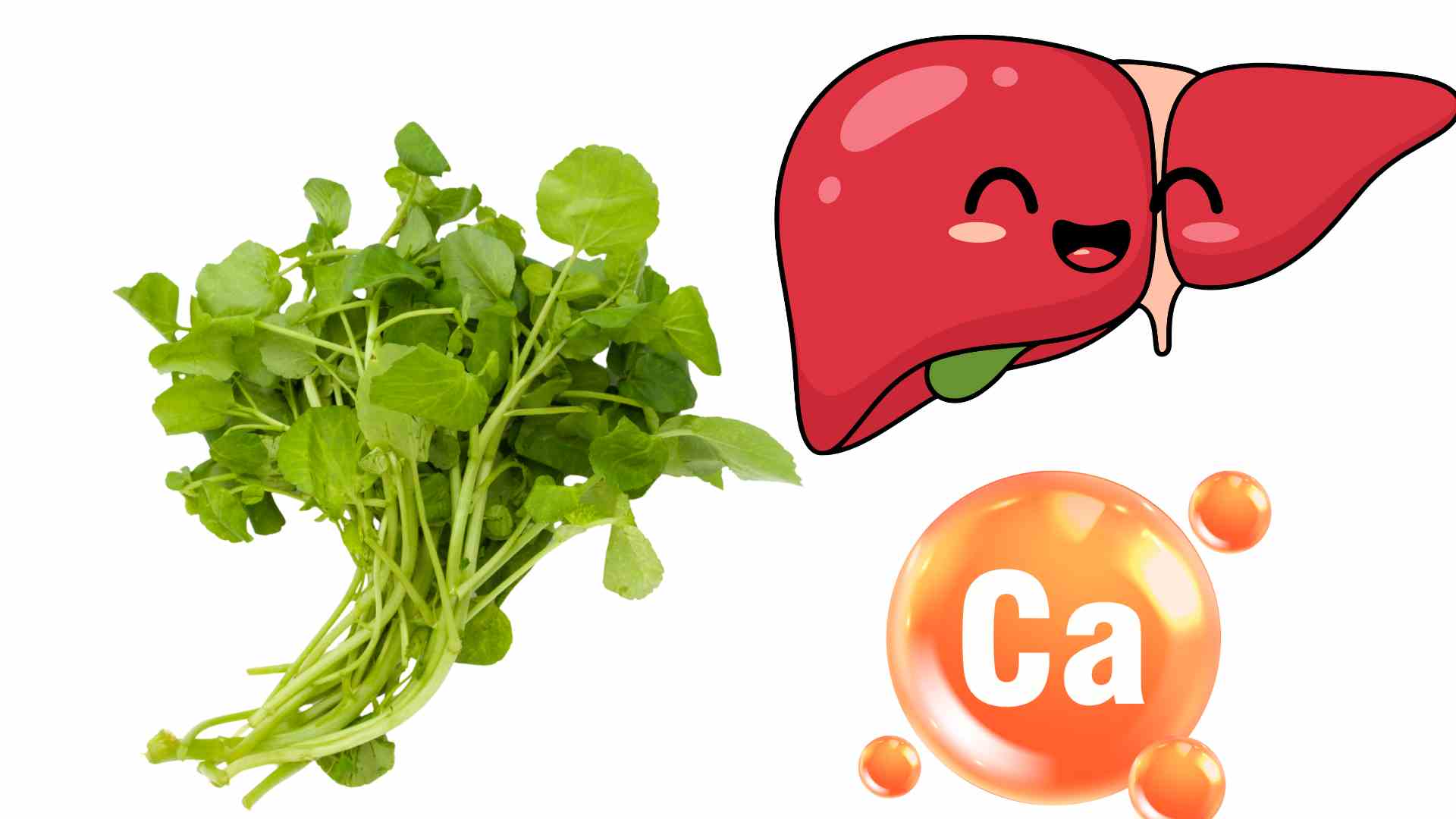 Kale is a vegetable rich in calcium. Graphics: Ha May