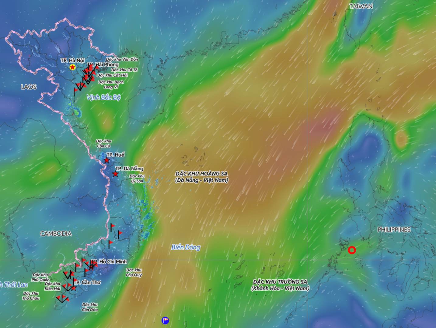 Updated location of the tropical depression at 9:00 a.m. on December 8. Source: Vietnam Disaster Monitoring System