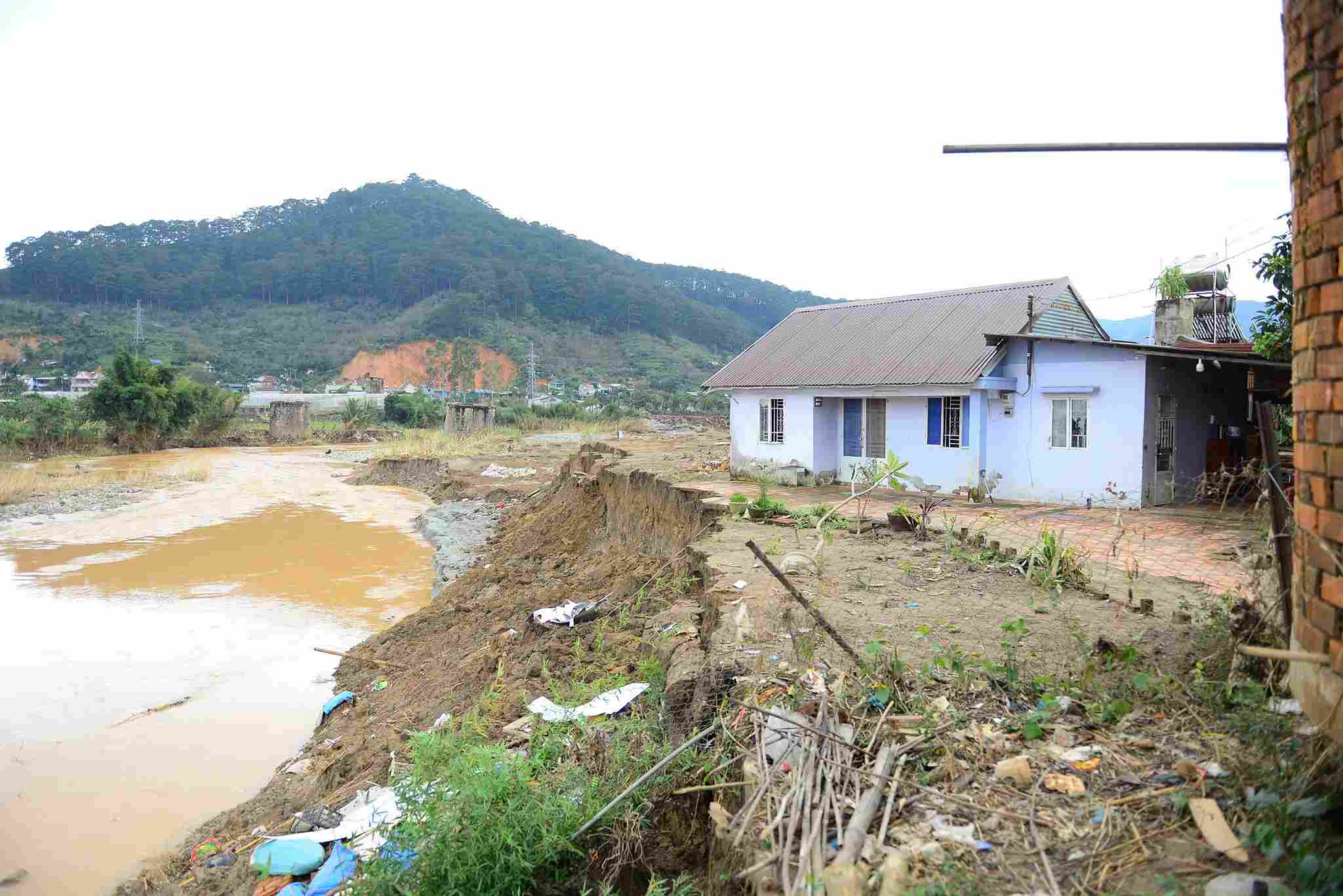 Sau tran lu lich su xay ra vao dem 19.11 vua qua, bo song Da Nhim o ha du thuoc xa D'ran (Lam Dong) bi sat lo nghiem trong. Anh: Phuc Khanh