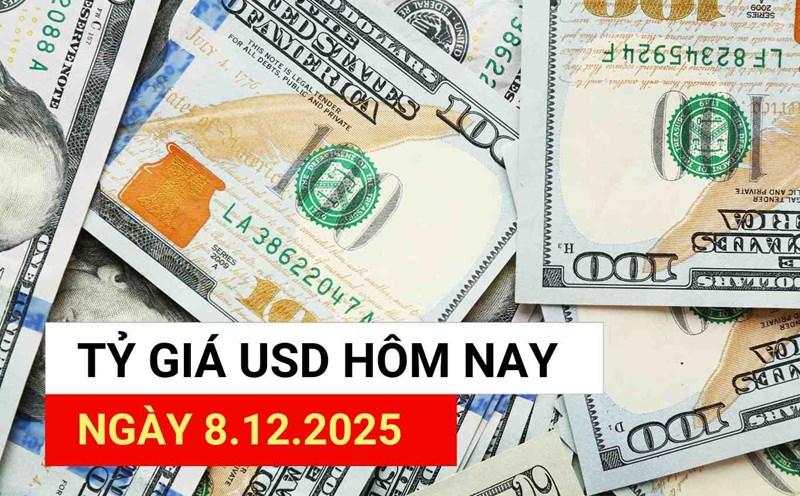 Dilar Rind USD exchange rate today 9.12: All increased
