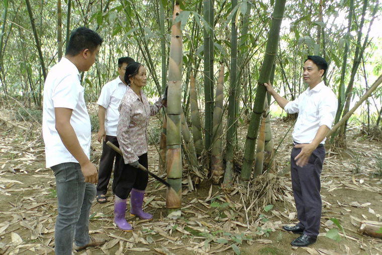 Nhung doi tre Bat Do mang lai thu nhap hang tram trieu dong moi nam cho nguoi dan vung cao. Anh: Thanh Tien.