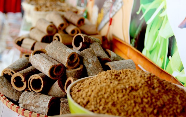 Cac san pham tu que rat da dang, phong phu. Co the su dung moi thu tu cay que de che bien thanh cac san pham va duoc xuat khau sang cac nuoc Nga, An Do, Duc, Trung Quoc...