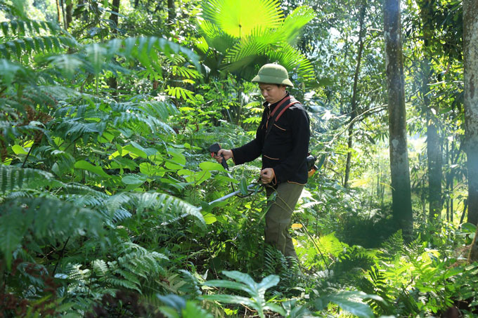 Nguoi dan da hinh thanh thoi quen lam que huu co. Anh: Thanh Tien.