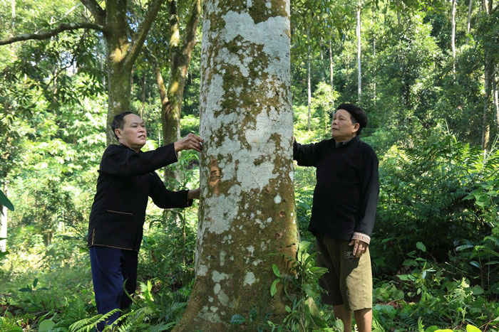 Nguoi dan dia phuong goi cay que la “cay hanh phuc”