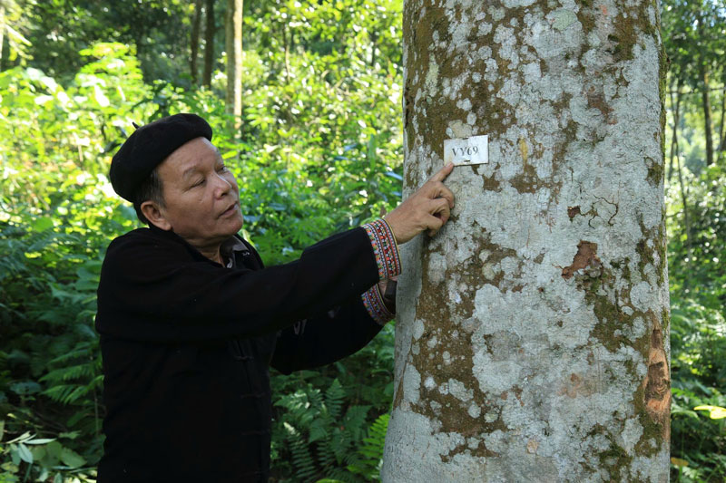 Nguoi dan ben cay que co thu trong tu nhung nam 80. Anh: Thanh Tien.