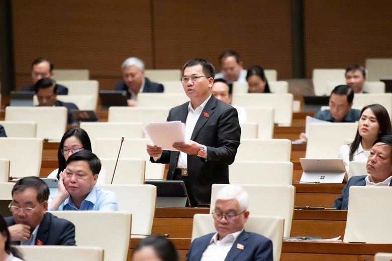 Dai bieu Quoc hoi Duong Khac Mai phat bieu. Anh: Quochoi.vn