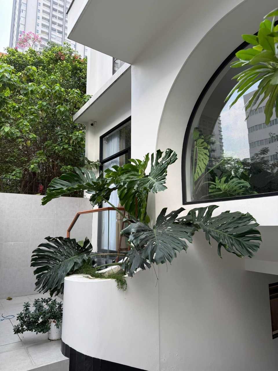 Anh: Nghe si cung cap.