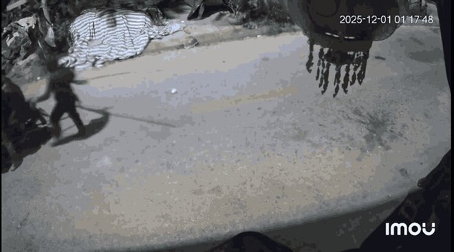 Camera ghi cảnh nhóm đối tượng mang hung khí đi trộm chó ở Hưng Yên