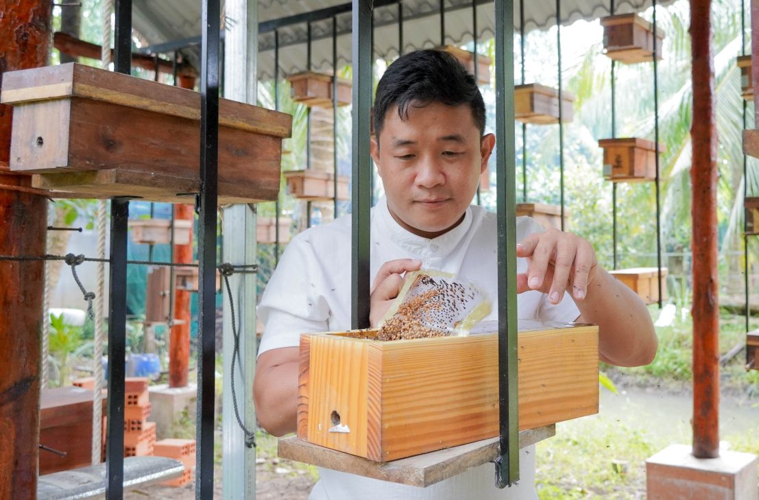 Ong du loai ong ban dia hien lanh, khong co ngoi dot duoc Tung phat trien thanh huong di moi. Anh: Phuong Anh