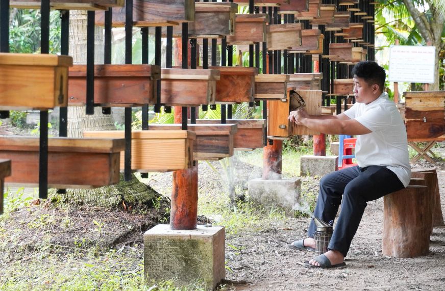 The beehive area is arranged to be airy, helping the bee colony grow stably and produce high-quality honey. Photo: Phuong Anh