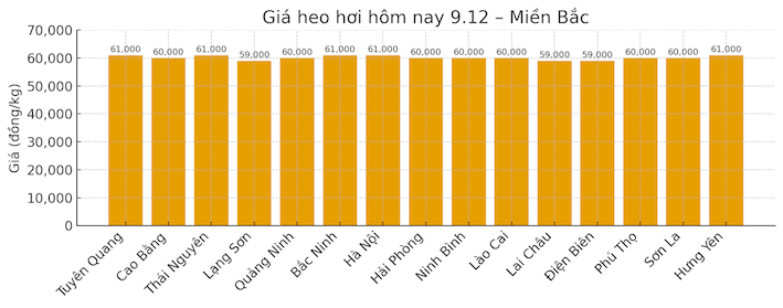 Gia heo hoi mien Bac hom nay 9.12. Do hoa: Thuy Linh