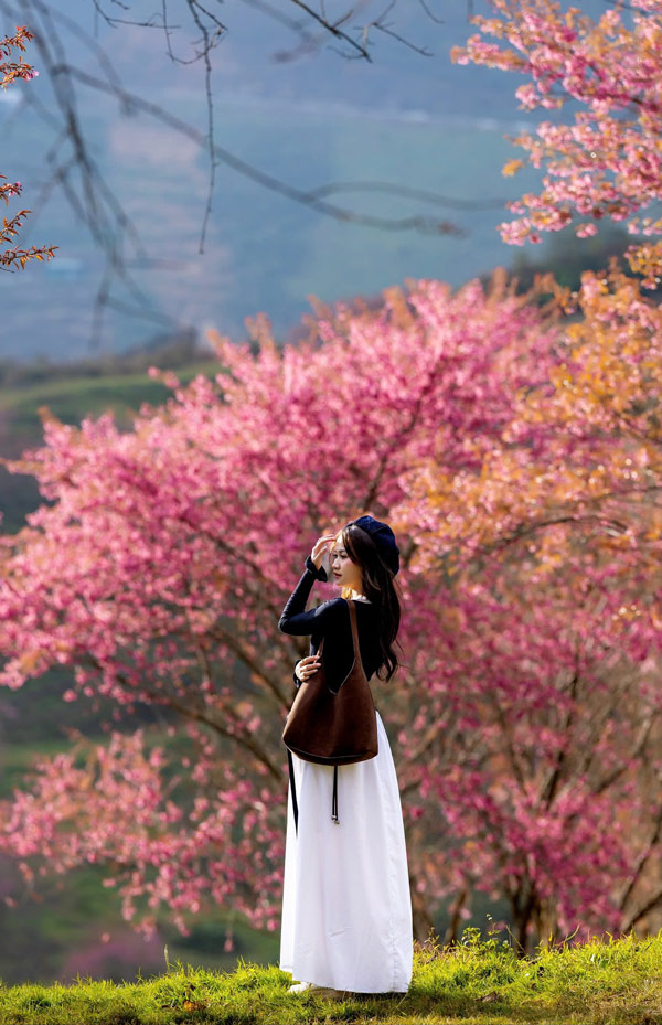 Du khach check in trong vuon hoa. Anh: Duong Quoc Hieu