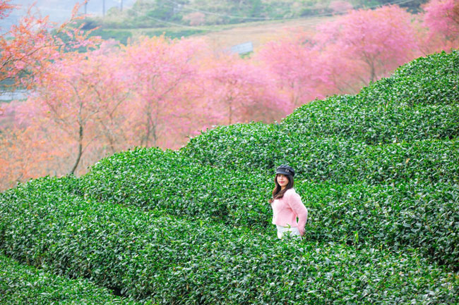 Den day, du khach se duoc hoa minh vao thien nhien, thoat ra khoi su tap nap, on ao cua pho xa thanh thi. Anh: Duong Quoc Hieu