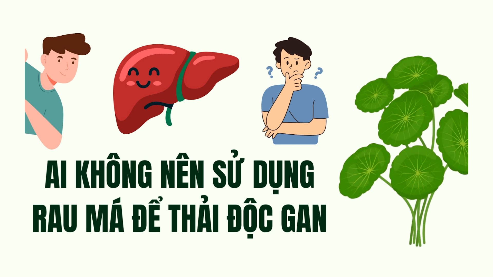 Subjects that should absolutely not use pennywort to detoxify the liver