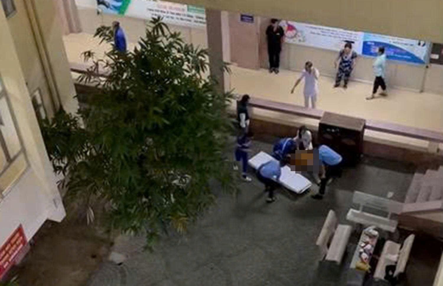 病院6階から落下した被害者を発見した現場。写真:Khanh Hoa