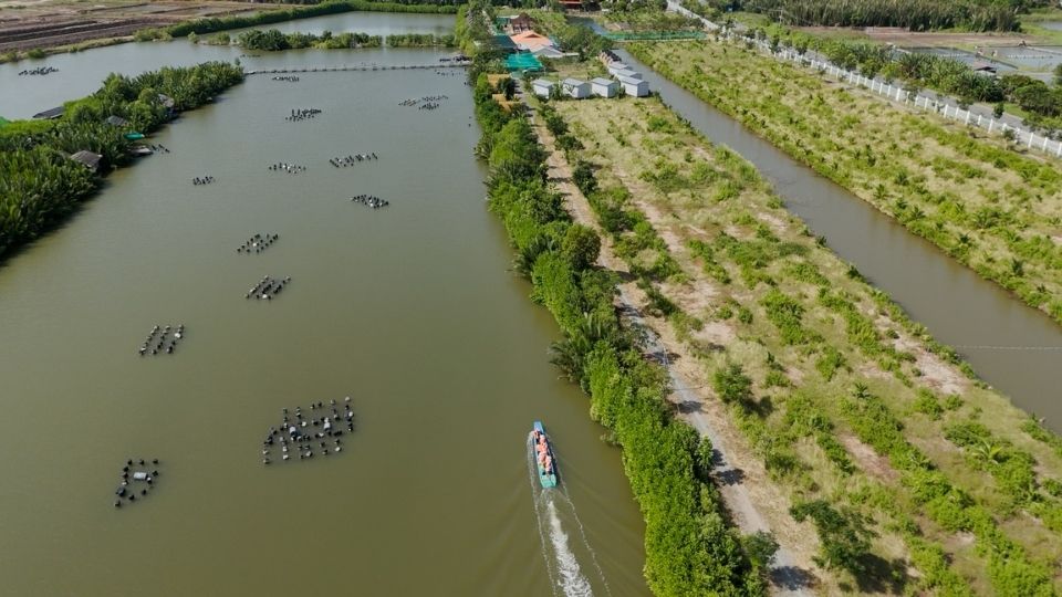 Ho nuoi thuy san ket hop voi diem rung, thu nhap on dinh quanh nam, doi song cai thien. Anh: Hoang Loc
