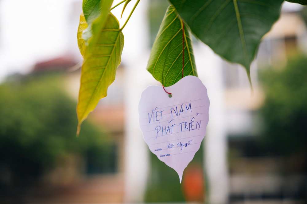 Nhung loi uoc nguyen duoc gui gam tren “Cay Hanh phuc“. Anh: Happy Vietnam