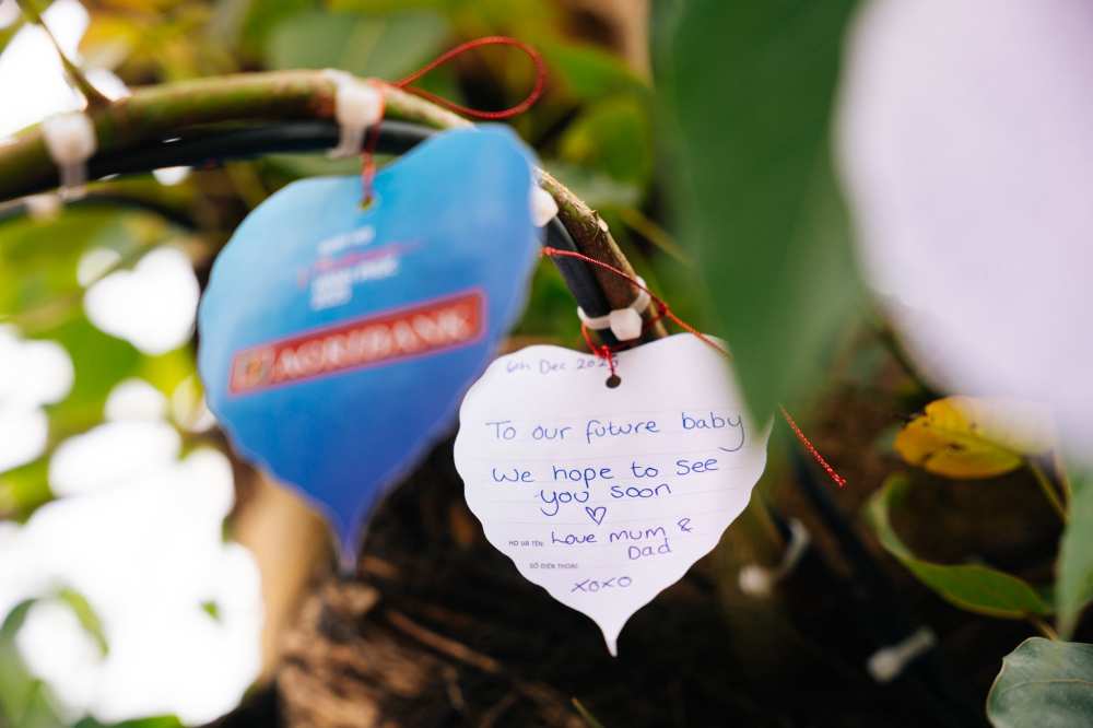 Du khach nuoc ngoai de lai dieu uoc duoi “Cay Hanh phuc“. Anh: Happy Vietnam