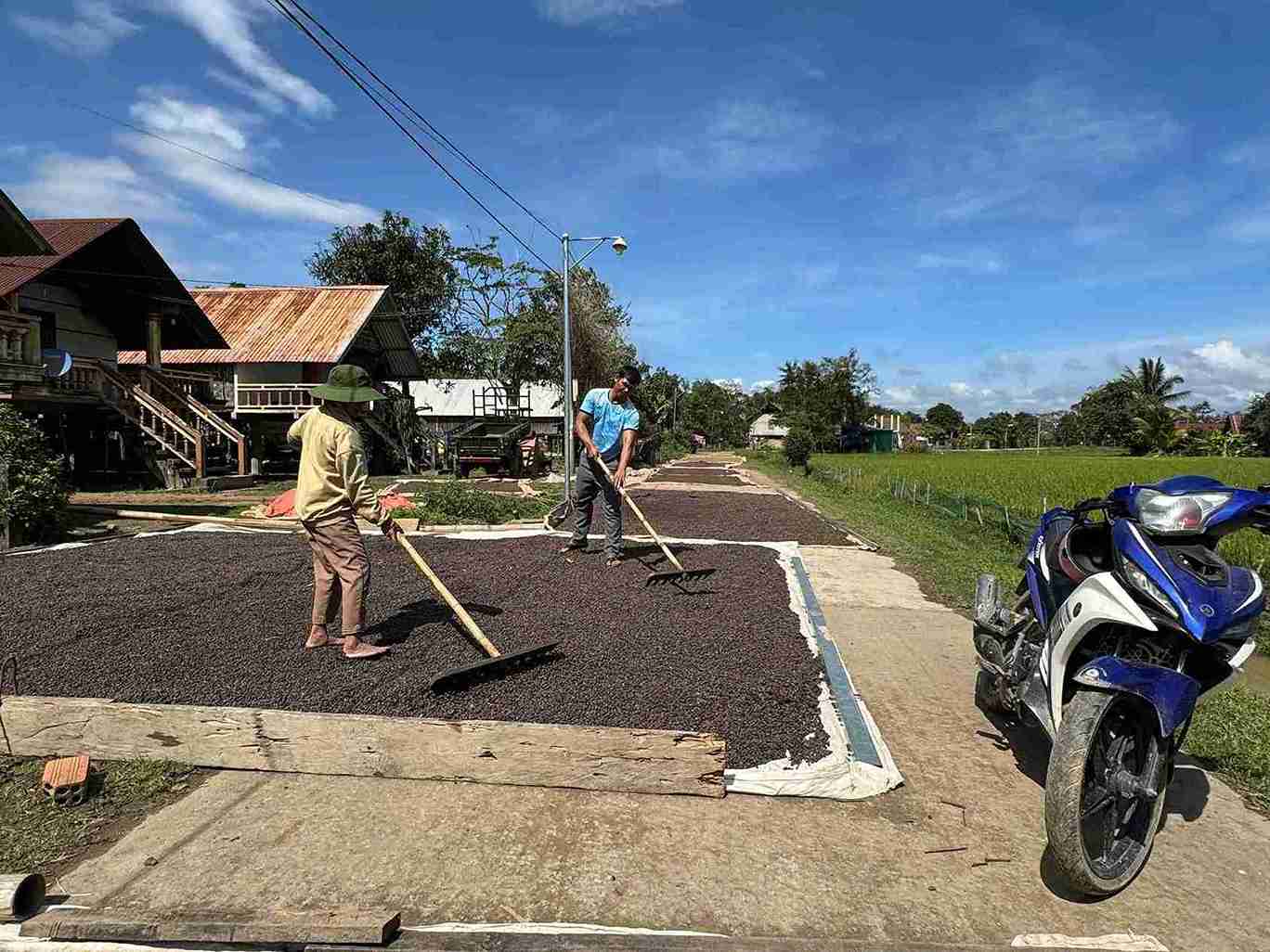 Hinh anh cac truong thon, buon o Dak Lieng den nha van dong nguoi dan lao dong, san xuat, ap dung khoa hoc ky thuat..., tro nen quen thuoc. Anh: Thanh Thuy