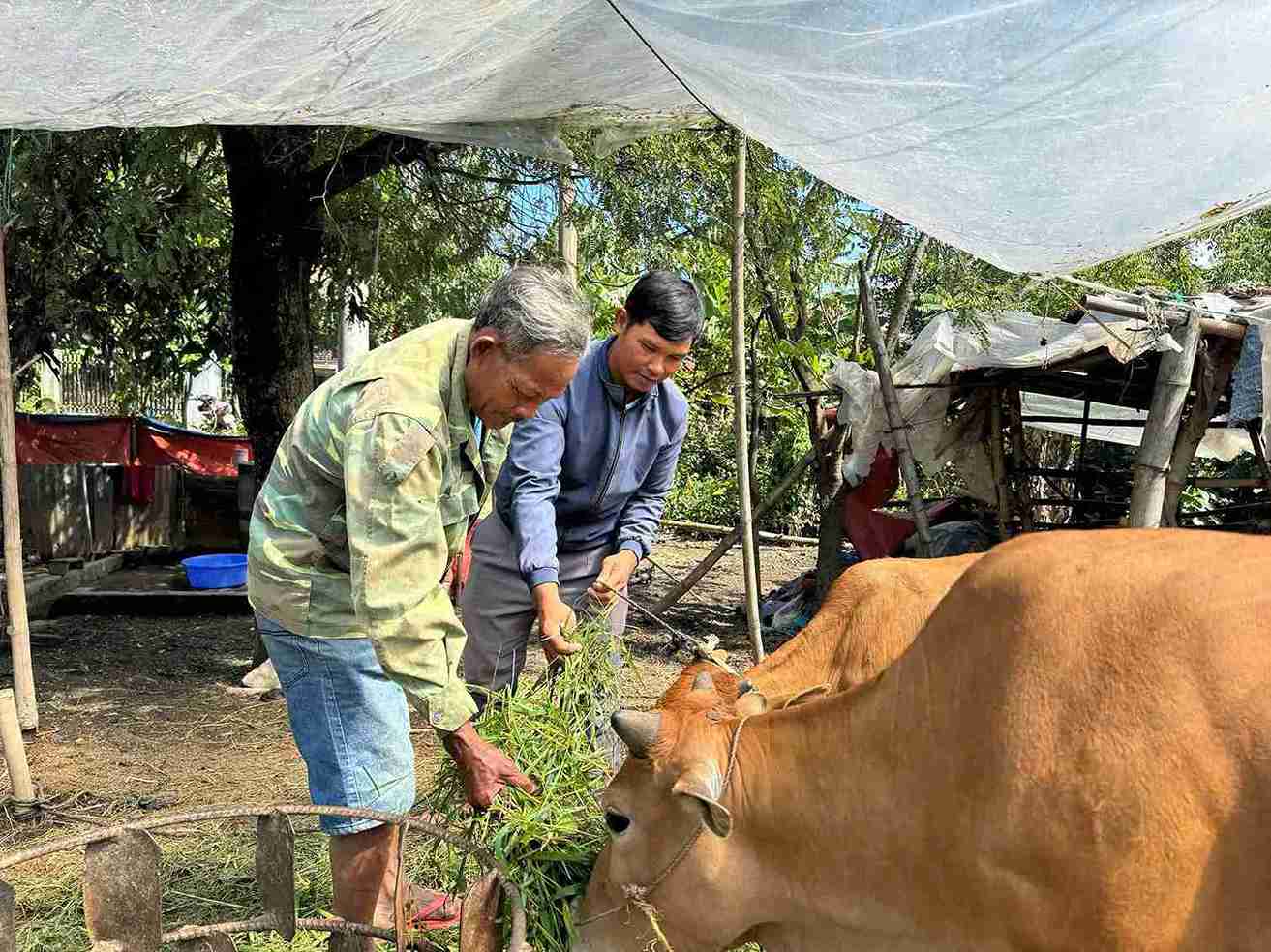Nguoi uy tin, truong thon, buon o Dak Lieng la soi day ket noi quan trong trong cong tac tuyen truyen pho bien, giao duc phap luat. Anh: Thanh Thuy