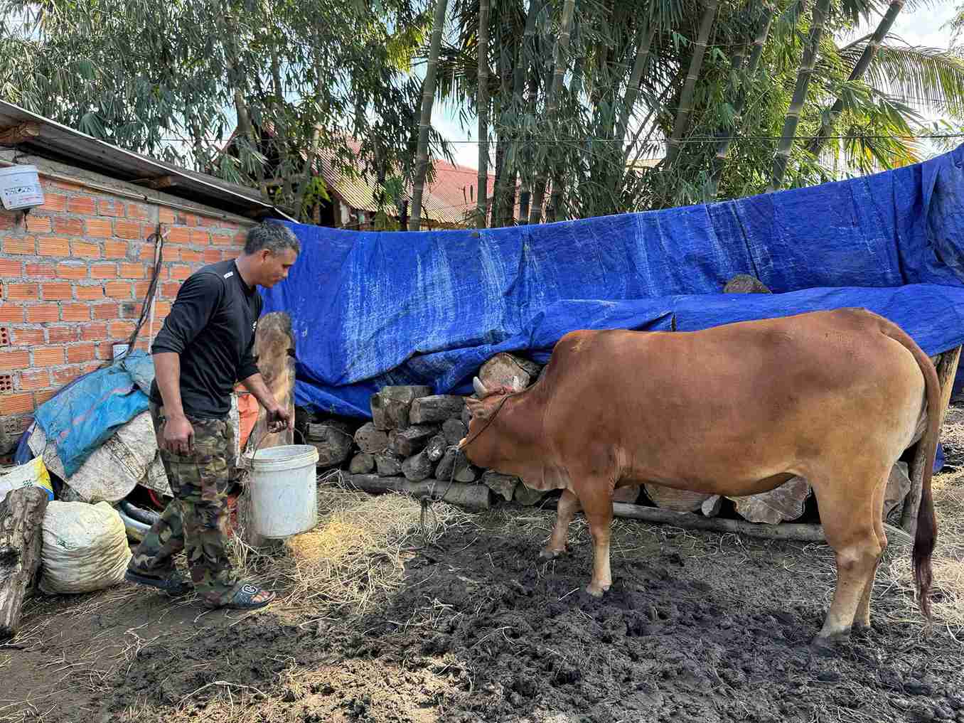 Nhan thuc phap luat cua ba con da duoc cai thien ro ret nho vai tro cua gia lang, nguoi uy tin. Anh: Thanh Thuy