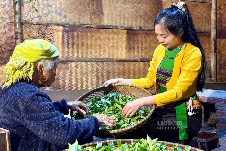 Les touristes venant à Long Cốc peuvent découvrir le processus de l'ethnie Mường sao chè traditionnel. Photo : Tô Công.