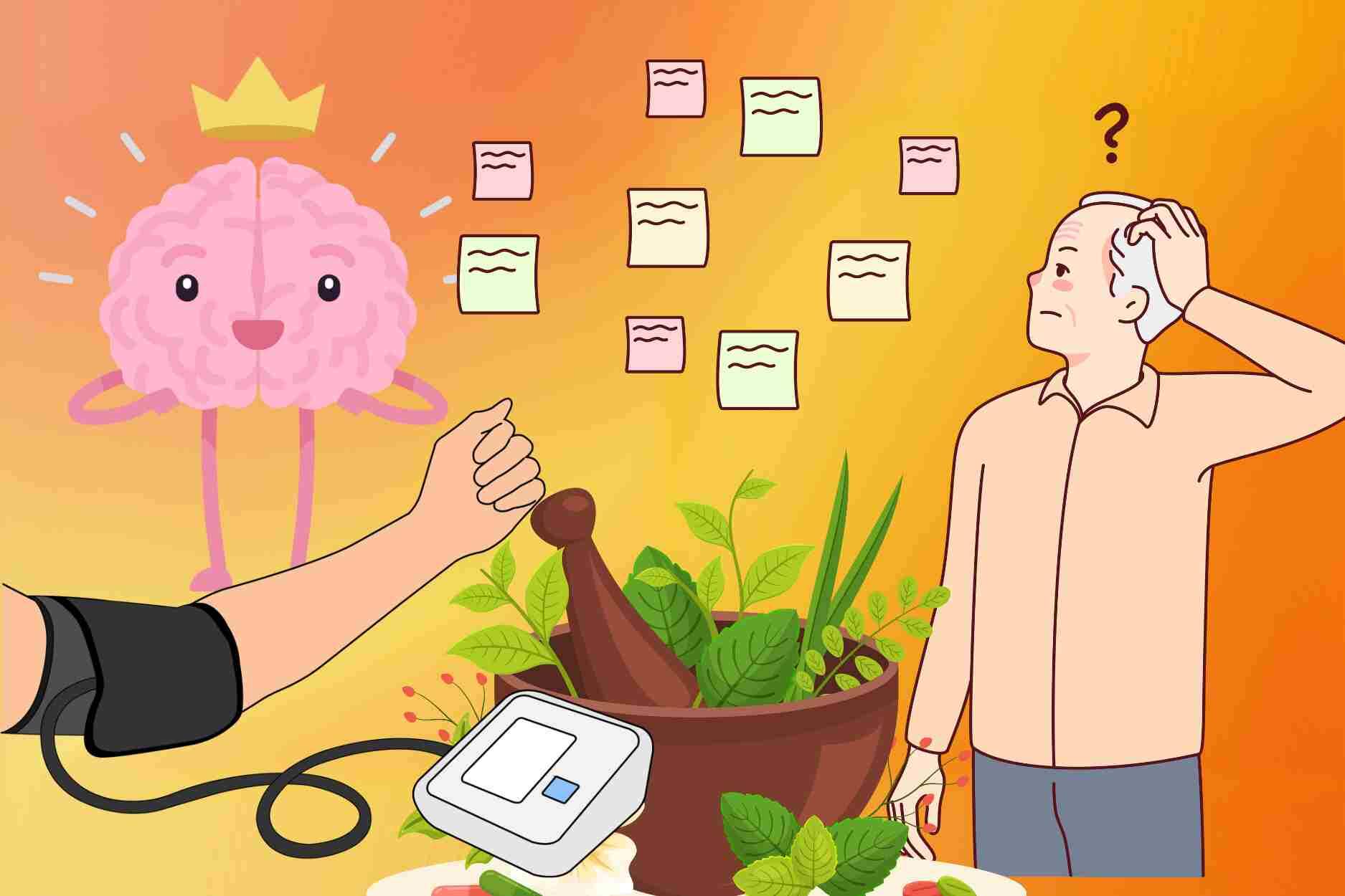 Herbs that help improve memory, strengthen cardiovascular system and stabilize blood pressure