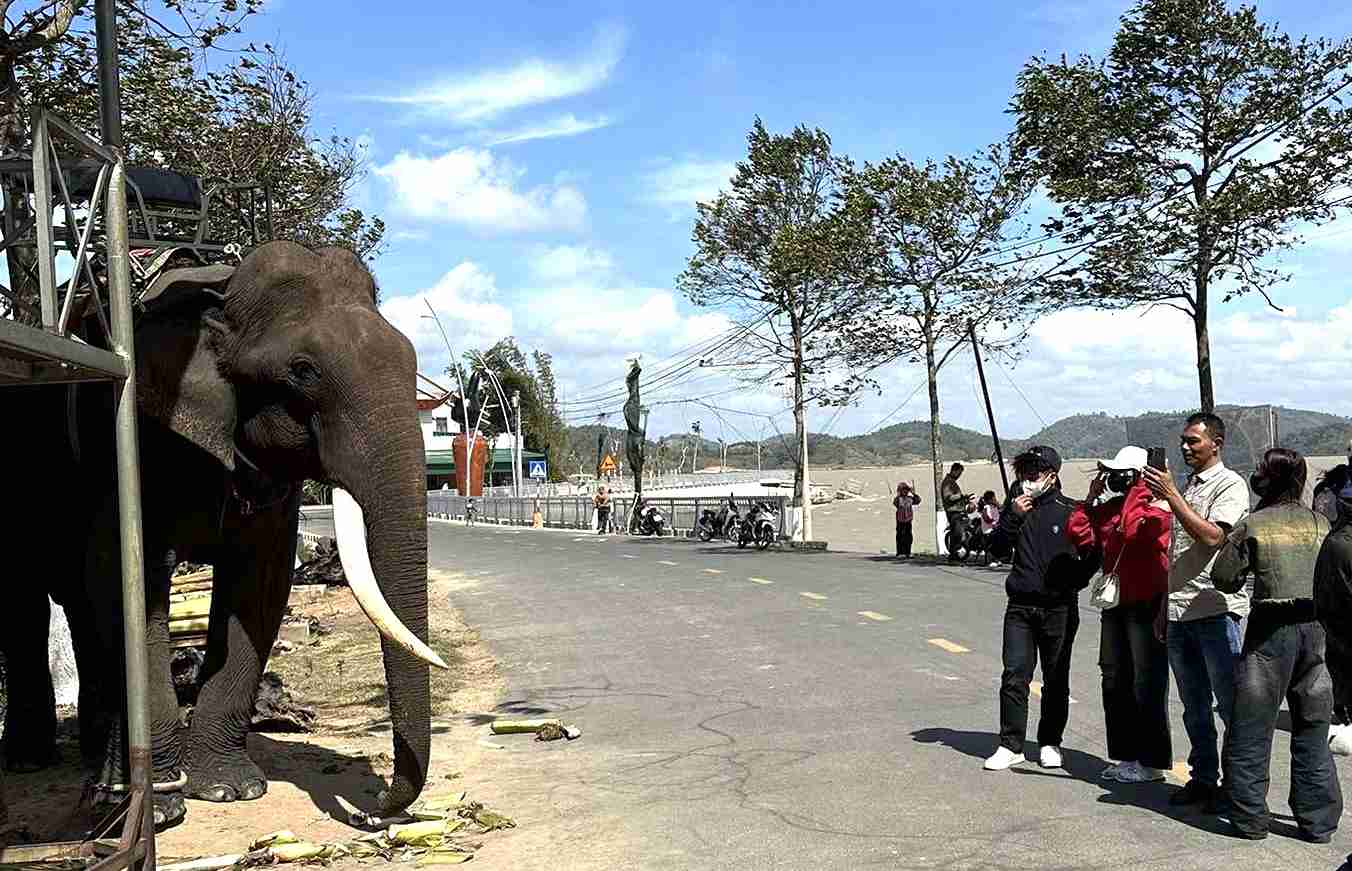 The number of tourists to Dak Lak province during the Lunar New Year 2025 increased slightly compared to last year. Photo: Bao Trung
