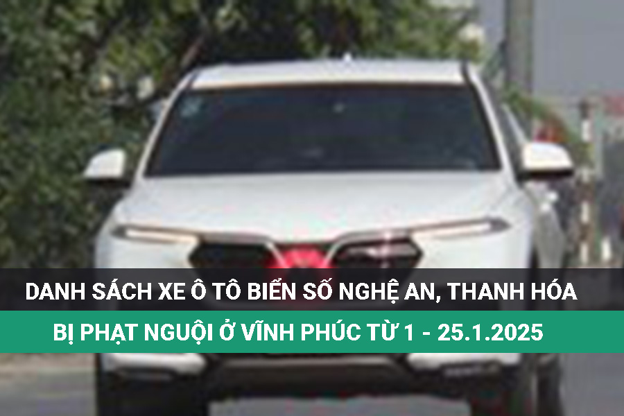 Owners of cars with Nghe An and Thanh Hoa license plates below went to the police to handle the fine
