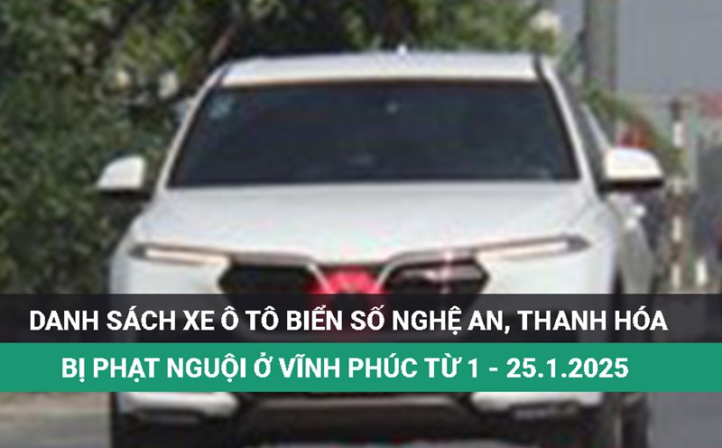 Owners of cars with Nghe An and Thanh Hoa license plates below went to the police to handle the fine