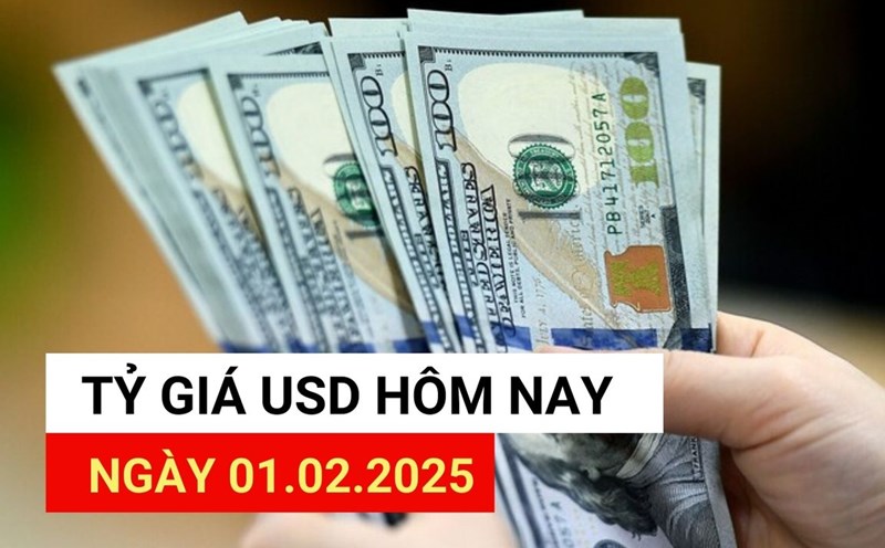 USD exchange rate today 1.2: Violent increase