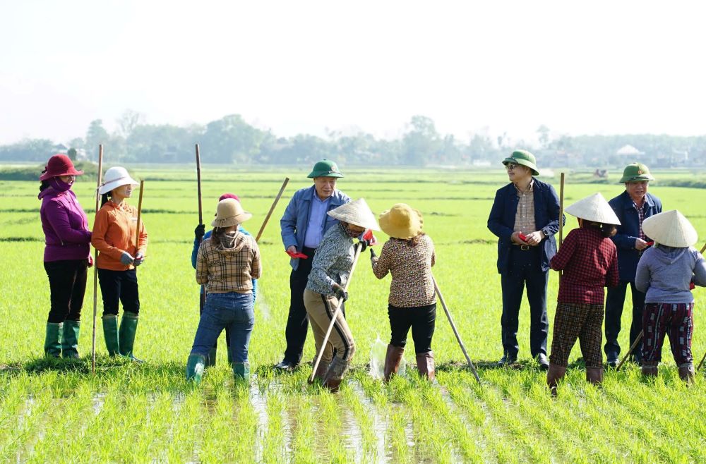 Quang Tri province leaders give lucky money to farmers working in the fields on the 4th day of Lunar New Year. Photo: Tien Nhat