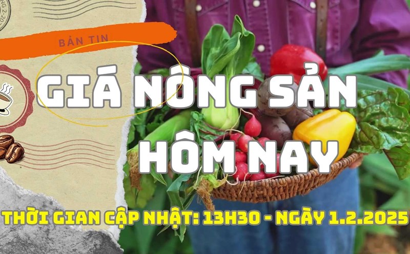 Agricultural product prices today 1.2: Coffee prices stabilize again