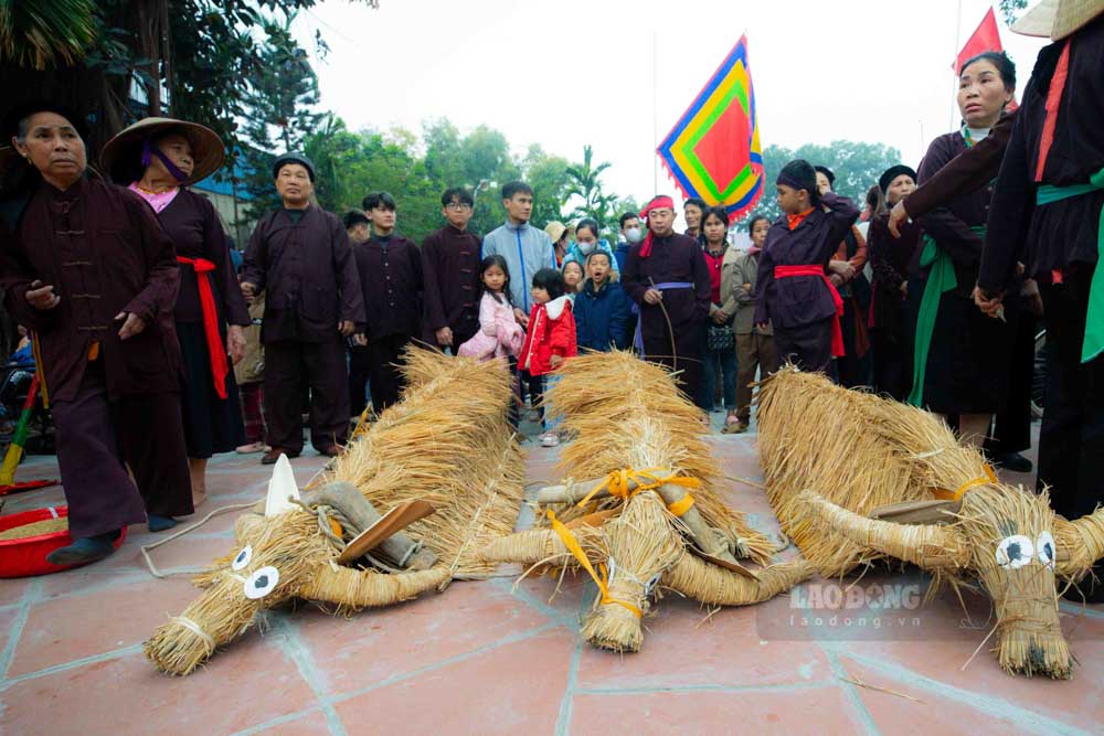 Phan hoi la nhung hoat dong tai hien nen van hoa lua nuoc vung dong bang Bac Bo voi con trau di truoc cai cay di sau. Rom ra de tet thanh trau, bo duoc lua chon ky cang. Hinh anh chiec cay da in sau vao tiem thuc moi nguoi nong dan vung que nay duoc tai hien sinh dong.