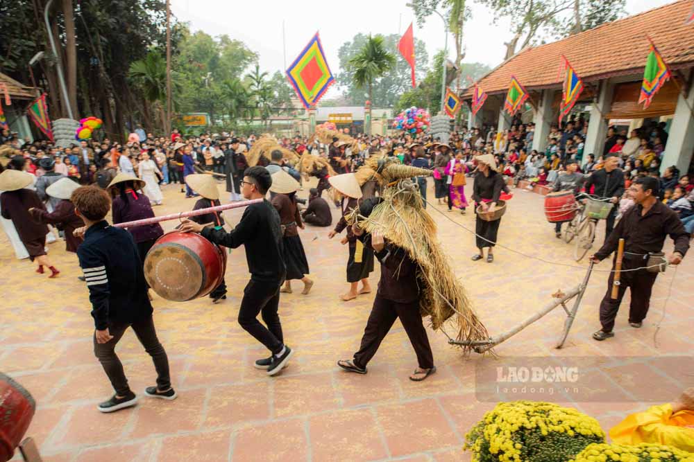 Khi tieng trong hoi vang vong khap san mieu, trau bo rom ra trinh dien nhung luong cay theo sau la nhung phu nu voi trang phuc ao nau truyen thong, gieo ma bat dau cho mot vu xuan.