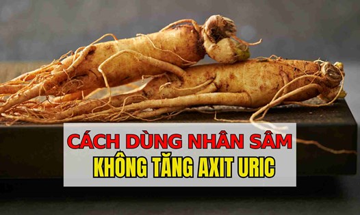 Mách bạn cách sử dụng nhân sâm không làm tăng axit uric.