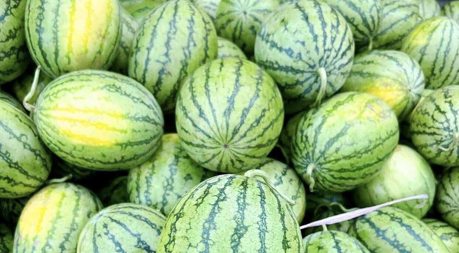 This is one of the fruits chosen for body cleansing. Photo: Kieu Vu