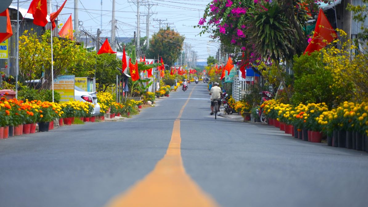 Tai duong tinh 921 di qua xa Nong thon moi kieu mau Trung Hung, nguoi dan da trong hang nghin chau hoa van tho doc hai ben duong de don Tet, mung Ngay thanh lap Dang Cong san Viet Nam khien ai di qua cung phai tram tro.