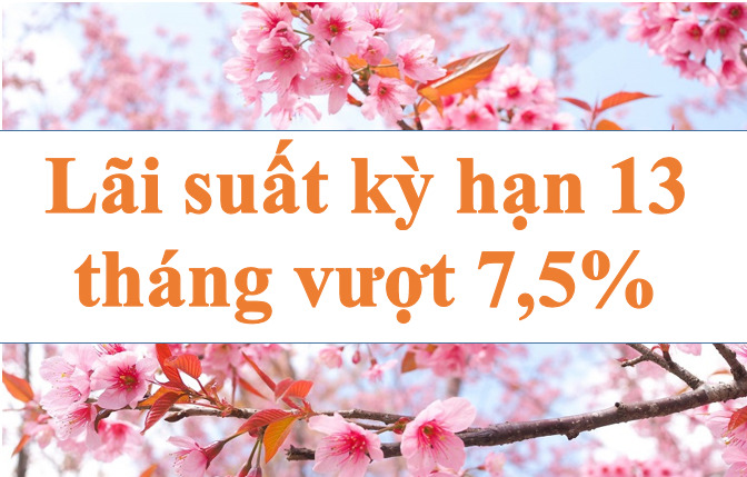 The highest interest rate for 13-month term exceeds 7.5%. Photo: Ha Vy