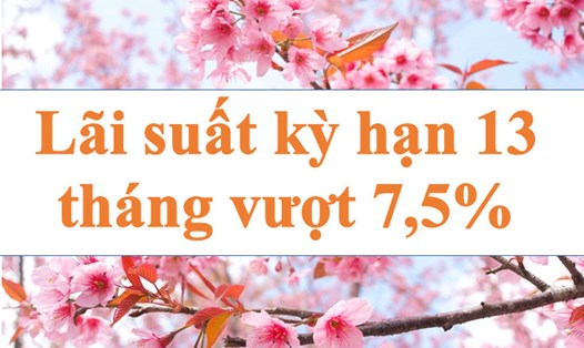 Lãi suất cao nhất kỳ hạn 13 tháng vượt mức 7,5%. Ảnh: Hà Vy