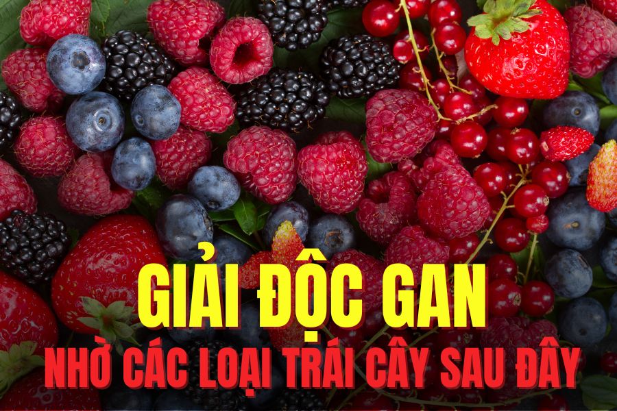4 berries that effectively support liver detoxification. Graphics: Hoai Lan