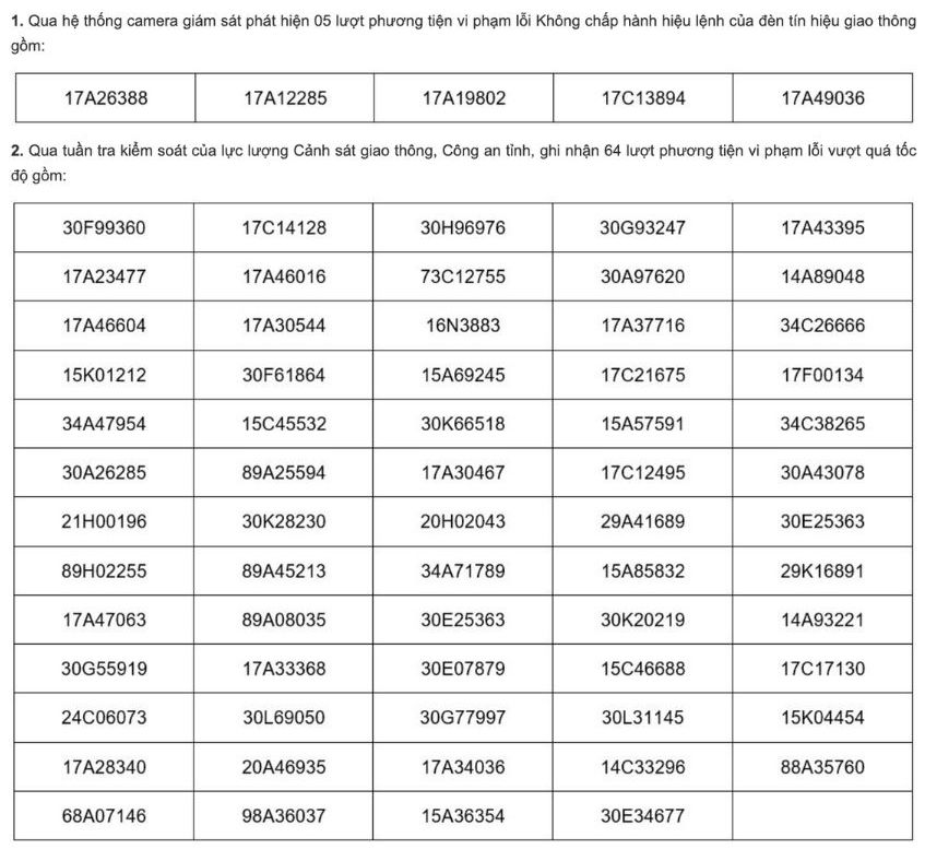 Danh sách phương tiện vi phạm giao thông bị phạt nguội tại Thái Bình trong tháng 12.2024. Nguồn: Công an tỉnh Thái Bình