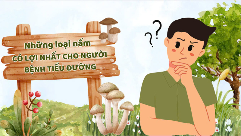 The most beneficial mushrooms for diabetics