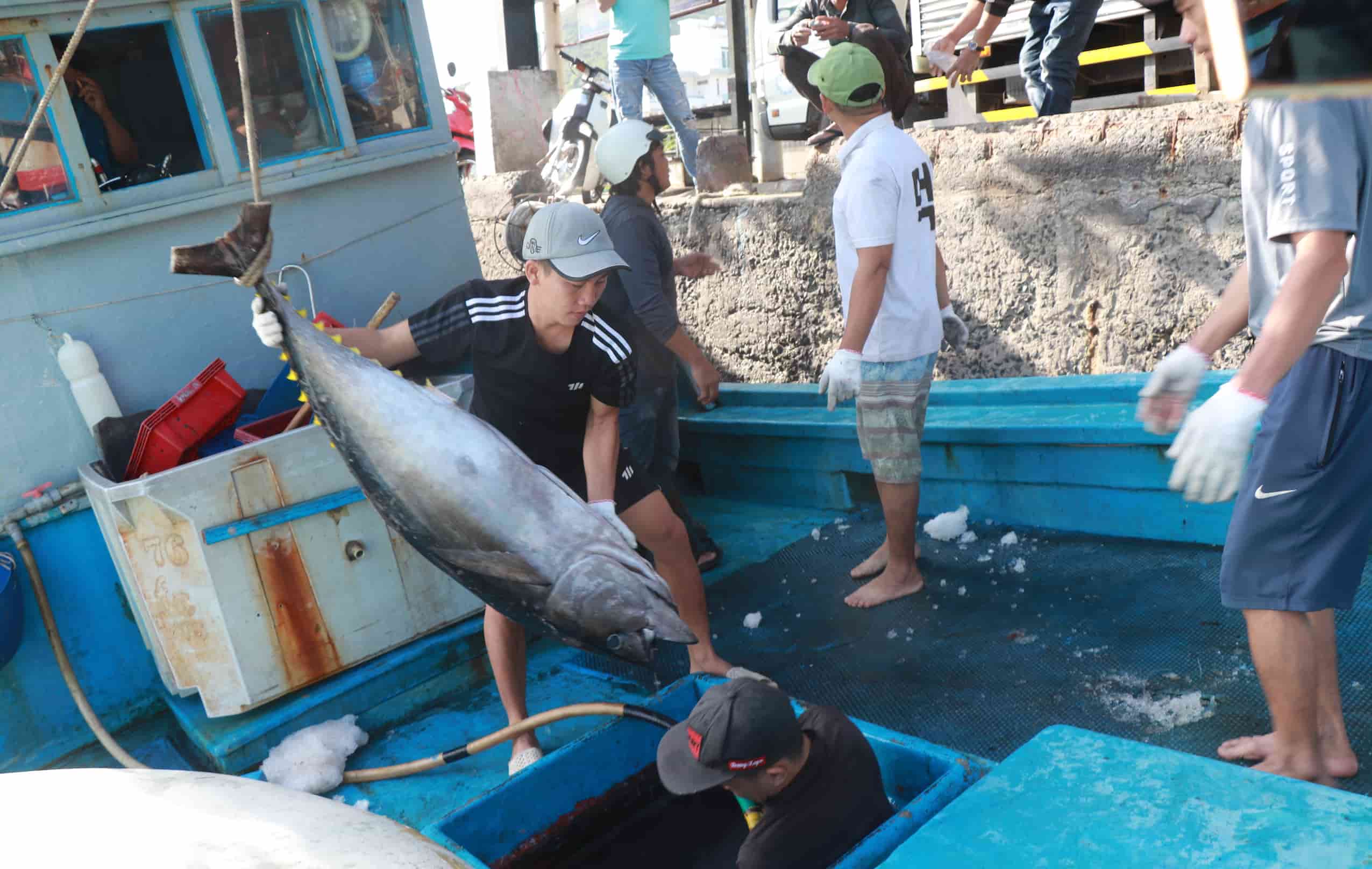 Tau thuyen cap cang o Nha Trang phan lon deu chap hanh dung cac quy dinh ve chong khai thac IUU. Anh: Huu Long