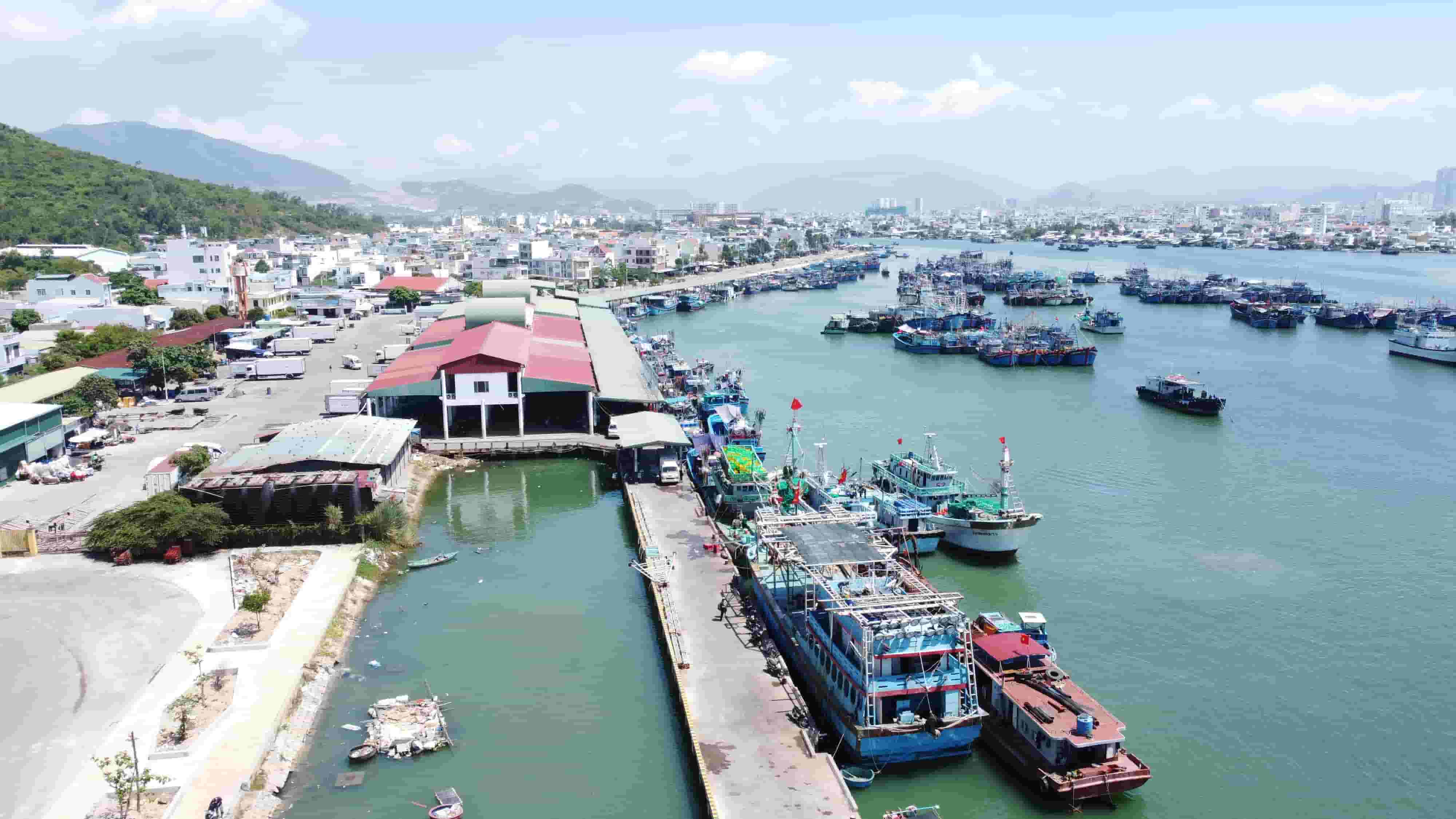 Cang ca Hon Ro o Nha Trang nhin tu tren cao. Anh: Huu Long