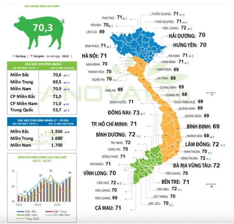 Cap nhat gia lon toan quoc ngay 10.2.2024. Nguon: Anova Feed